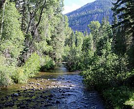 Wolf Creek (Mineral County, Colorado).JPG