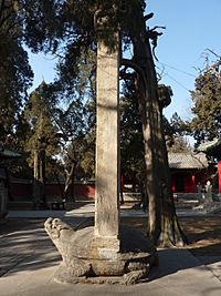 Yan Miao - northern courtyard - Zhizheng 9 - P1050472