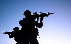 2 Seals aiming with their weapons