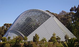 Adelaide Botanic Gardens Bicentennial conservatory