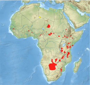 African Wild Dog Distrbution.svg