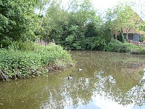AncientDuckpondManorFarm
