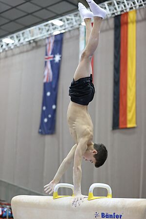 Austrian Future Cup 2018-11-23 Training Afternoon Pommel horse (Martin Rulsch) 325