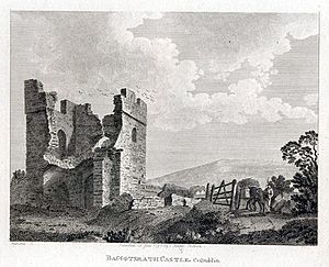 Baggotsrath Castle (Co. Dublin)