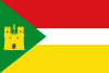 Flag of Lituénigo, Spain