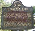 Brasstown Bald Historical Marker -1