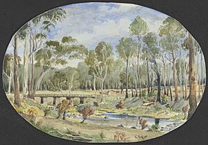 Bridge & township of Panmure on the Emu Creek