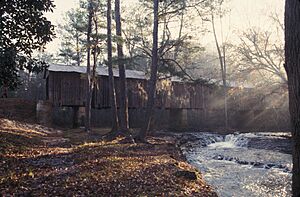 COHEELEE COVERED BRIDGE, EARLY COUNTY, GEORGIA