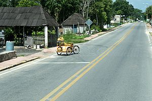 Carretera Federal 180 - Pisté, Yucatan, Mexico - August 16, 2014.jpg