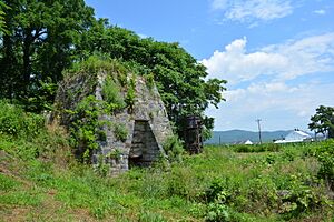 Carrick Furnace FrankCo PA 1