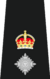 Chief Superintendent Insignia (Tudor Crown).svg