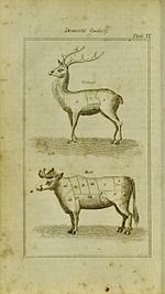 Diagram of two animals and their cuts of meat. The cuts are for venison and beef