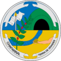 Escudo de Chaparral (Tolima)