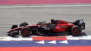 FIA F1 Austria 2023 Nr. 24 (2).jpg