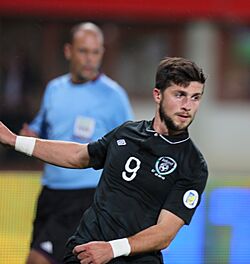 FIFA WC-qualification 2014 - Austria vs Ireland 2013-09-10 - Shane Long 19 (cropped)
