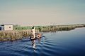 Fisherman Lukanga Swamp