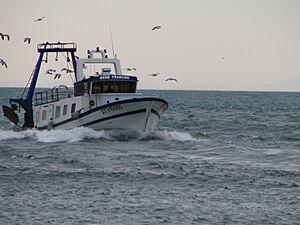 Fishing-boat