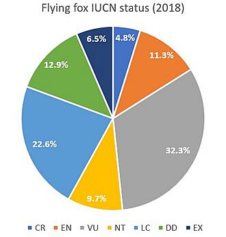 Flying fox conservation status