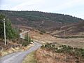 Forest of Birse