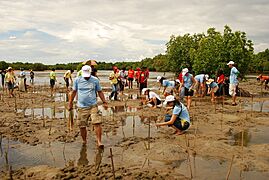 FrontLines-EGAT 2011 Environment Photo Contest Top Entry (5842818280)