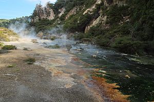 Frying Pan Lake overflow stream (Waimangu Volcanic Valley)