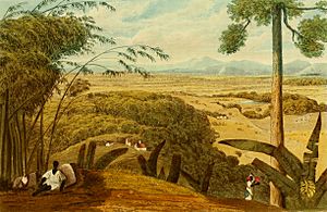 Hakewill, A Picturesque Tour of the Island of Jamaica, Plate 14