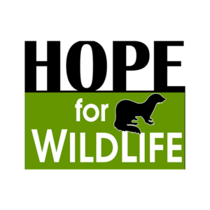 Hope for Wildlife foundation.png