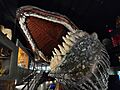 House on the Rock - Heritage of the Sea
