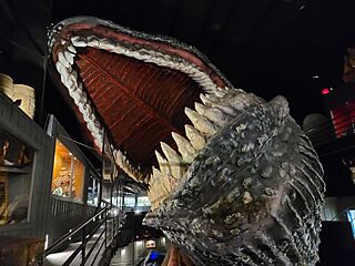 House on the Rock - Heritage of the Sea