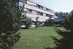 IBM Böblingen Entwicklung und Forschung inner grounds and building 1984