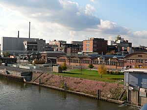 Industriepark Höchst, Leunabrücke