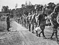 Japanese troops disarmed, Jesselton, North Borneo