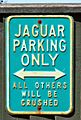 JerseyByWP Jaguar parking lot Brunswyk (2013)