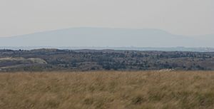 Juniper Dunes Viewed from East IMG 1291