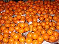 Kinnow fruits