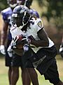 Ladarius Webb