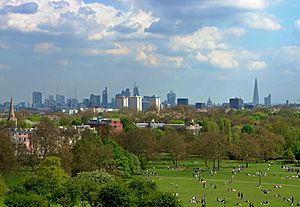 London from Primrose Hill May 2013
