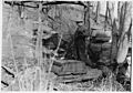 Maple sugar industry - NARA - 285761
