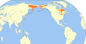 Melanitta americana map.svg