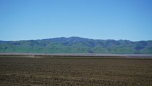Mount Oso (California)