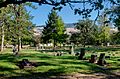 Mountain View Cemetery NHS scenic