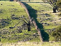 Mt. Karinya stone wall