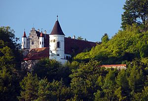 Neidstein Schloss1