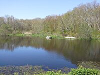 Norman Bird Sanctuary in Middletown, Rhode Island 3