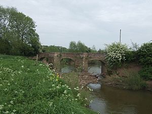 Old Powick Bridge over the River Teme - geograph.org.uk - 795873