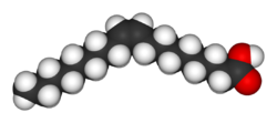 Oleic acid's space-filling structure
