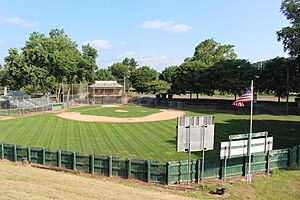 Original Little League Field Williamsport, PA 1