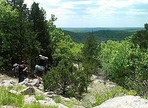 Ozark Trail - Goggins Mtn 20130511 1