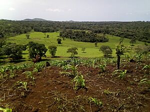 Paysage de Ngaoundaba