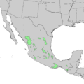 Pinus teocote range map 1